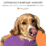 Carica l&#39;immagine nel visualizzatore di Gallery, Amethyst cotton dog t-shirt suit, dog recovery and allergy suit
