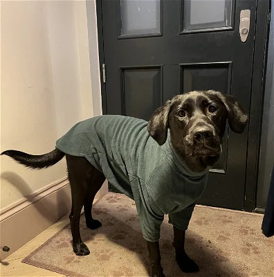Forest Green Fleece Dog Jumper HOTTERdog®, 100% Rainproof, Breathable, Warm and Washable