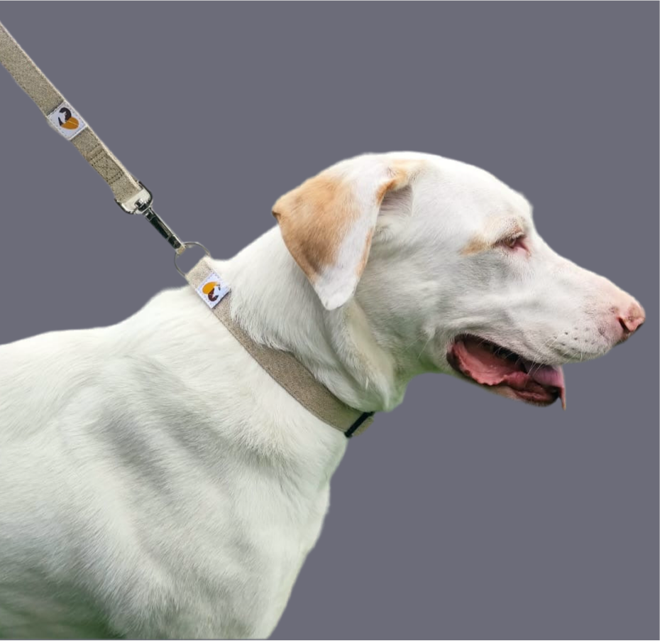Natural hemp dog collar and lead set