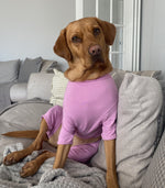 Load image into Gallery viewer, Cotton dog t-shirt suit in Dusky Rose, dog recovery suit
