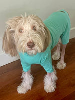 Carica l&#39;immagine nel visualizzatore di Gallery, T-shirt per cani in cotone in azzurro cielo, tuta allergica per cani di Equafleece® 
