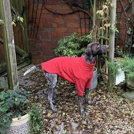 fleece dog jumoer red