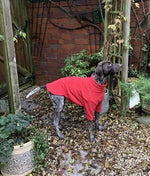 Load image into Gallery viewer, Red Fleece Dog Jumper HOTTERdog, 100% Rainproof, Breathable, Warm and Washable

