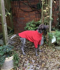 Red Fleece Dog Jumper HOTTERdog, 100% Rainproof, Breathable, Warm and Washable