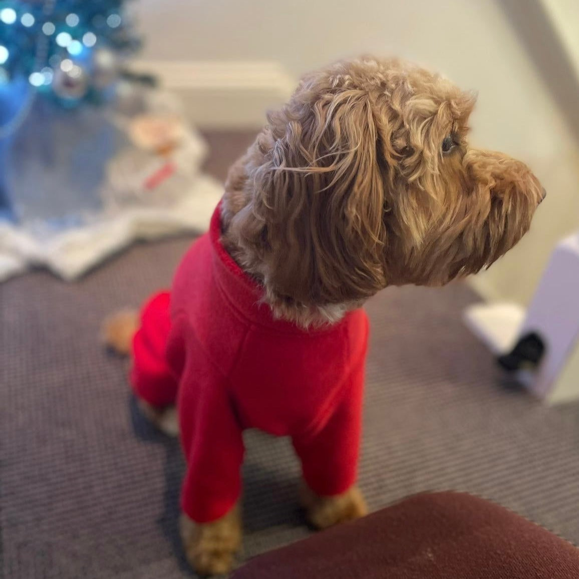 Cockapoo Red Dog Coat / Jumper with legs and zip