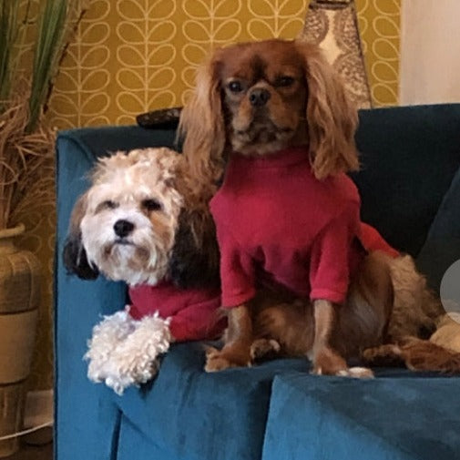 Red Fleece Dog Jumper HOTTERdog