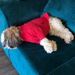 Load image into Gallery viewer, Red Fleece Dog Jumper HOTTERdog

