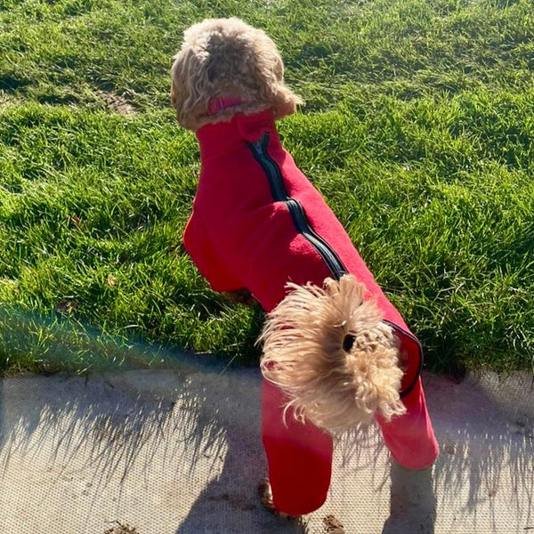 Cockapoo Red Dog Coat / Fleece with legs and zip