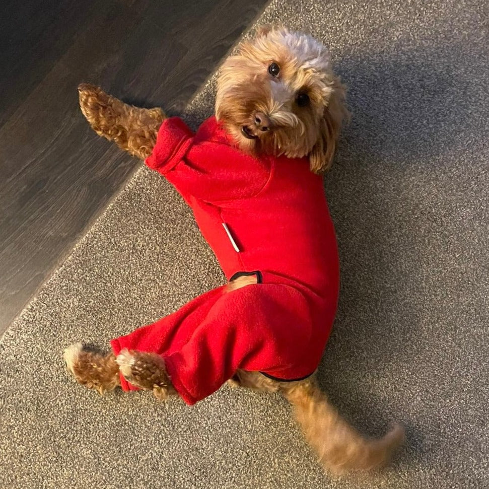 Cockapoo Red Dog Coat / Jumper with legs and zip - underbelly protection 