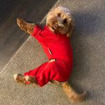 Carica l&#39;immagine nel visualizzatore di Gallery, Cockapoo Red Dog Coat / Jumper with legs and zip - underbelly protection 
