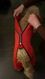 Load image into Gallery viewer,  Red Dog Coat / Jumper fleece with zip and legs
