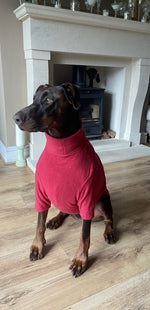 Load image into Gallery viewer, Red Fleece Dog Jumper HOTTERdog
