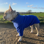 Load image into Gallery viewer, French bulldog jumper by HOTTERdog
