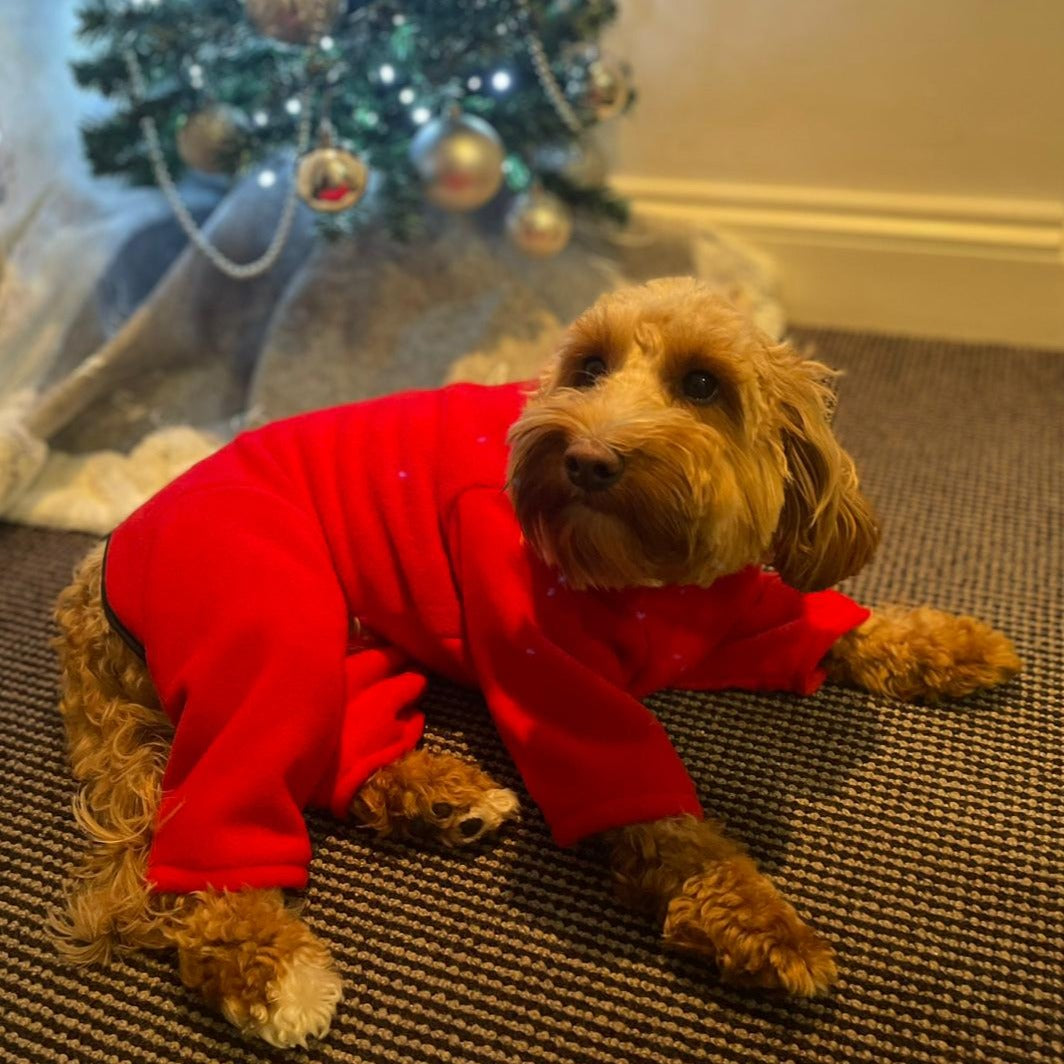 Cockapoo Fleece, red dog coat with legs and zip