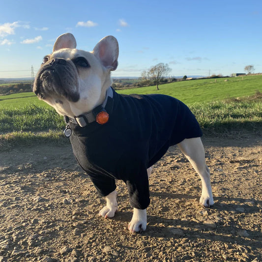 French bulldog black fleece jumper 
