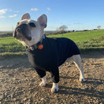 Load image into Gallery viewer, French bulldog black fleece jumper 

