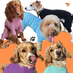 Load image into Gallery viewer, Cotton dog t-shirt suit, dog allergy suit by Equafleece
