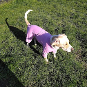 Cotton dog t-shirt suit in Dusky Rose, dog recovery suit