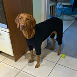 Load image into Gallery viewer, Black t-shirt suit for dogs cotton by Equafleece
