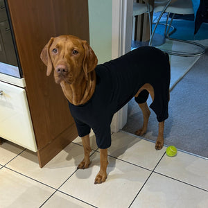 Black t-shirt suit for dogs cotton by Equafleece