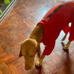 Carica l&#39;immagine nel visualizzatore di Gallery, Vizsla with our dog fleece with zip
