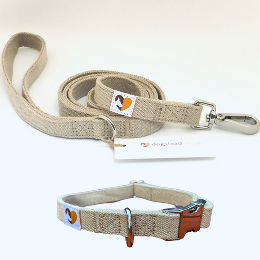 Hypoallergenic Hemp Metal Buckle Collar & Standard Lead Set