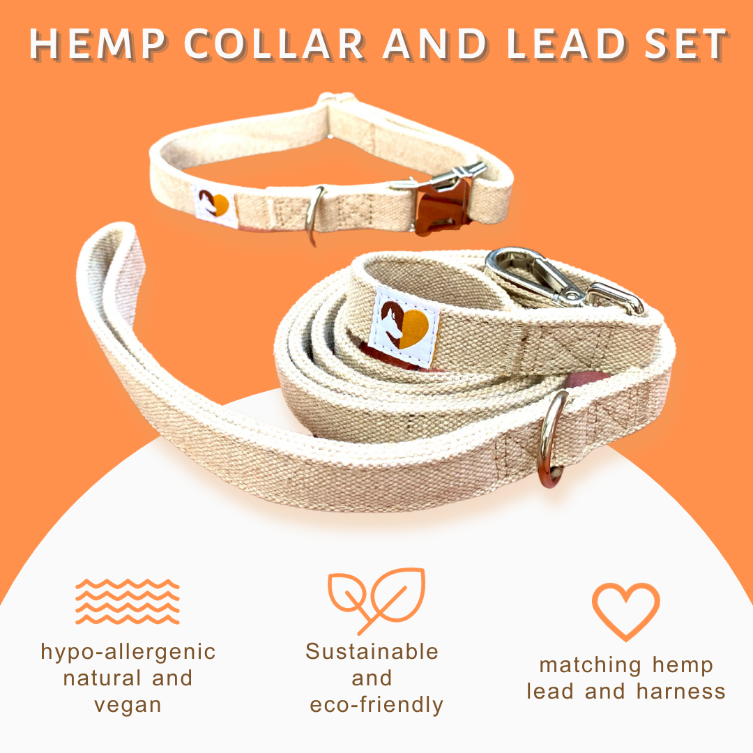 Natural Hemp dog collar and lead set 