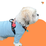 Load image into Gallery viewer, Sky Blue cotton dog t-shirt suit, dog recovery and allergy suit by Equafleece®
