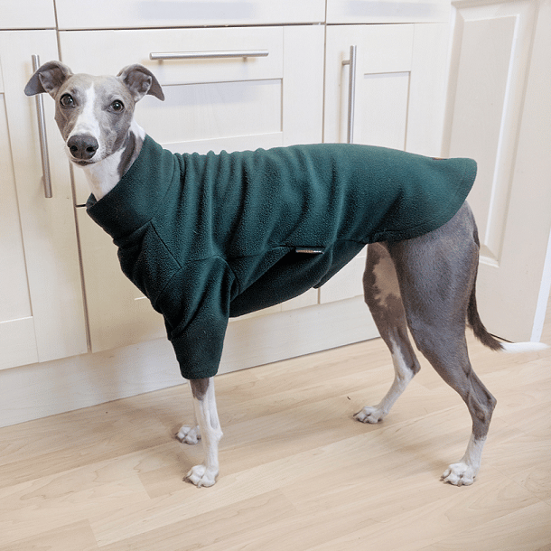 HOTTERdog jumper Forest Green