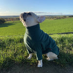Load image into Gallery viewer, French Bulldog jumper 
