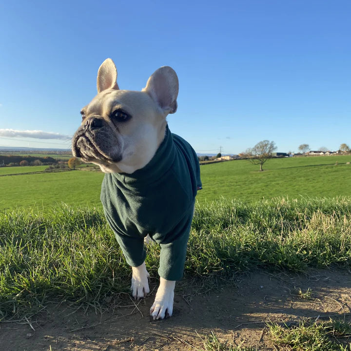French Bulldog HOTTERdog jumper Forest Green