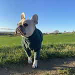 Load image into Gallery viewer, French Bulldog HOTTERdog jumper Forest Green
