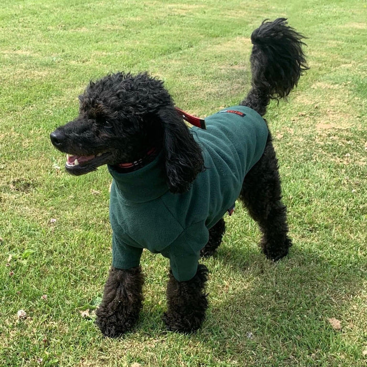 HOTTERdog jumper Forest Green