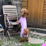 Load image into Gallery viewer, Cockapoo cotton t-shirt suit in dusky rose
