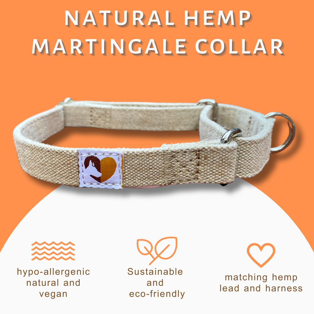 No-slip and no itch dog collar in natural hemp 