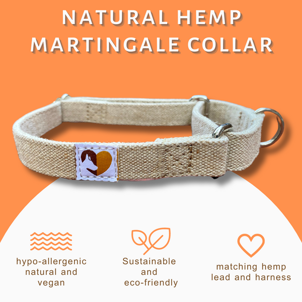 Hypoallergenic No Slip Collar in Natural and Sustainable Hemp dogs lead shop and more