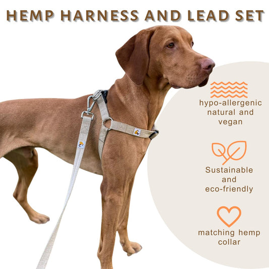 Hypoallergenic Dog Harness & Lead Set, Natural Hemp, small, medium and large dogs