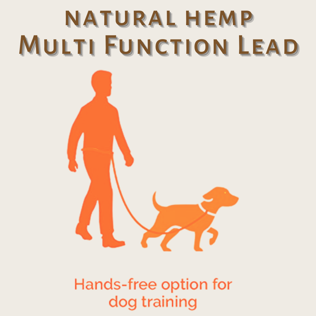 Hands Free option dog leash in Natural Hemp, for dog training