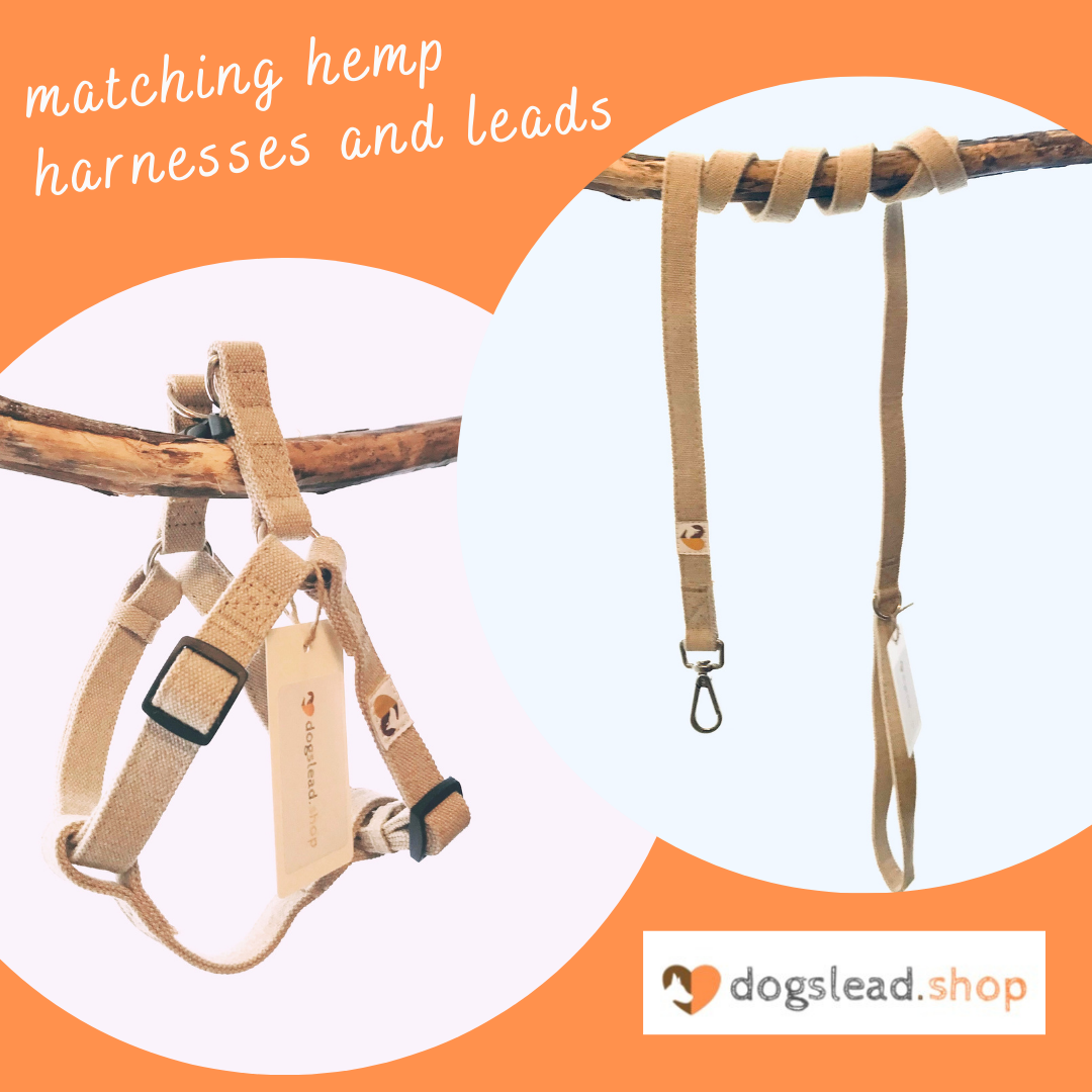 matching hemp harnesses and leads - dogs lead shop and more