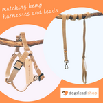 Load image into Gallery viewer, matching hemp harnesses and leads - dogs lead shop and more
