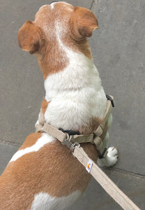 Step-in dog harness, 100% natural hemp, matching lead available