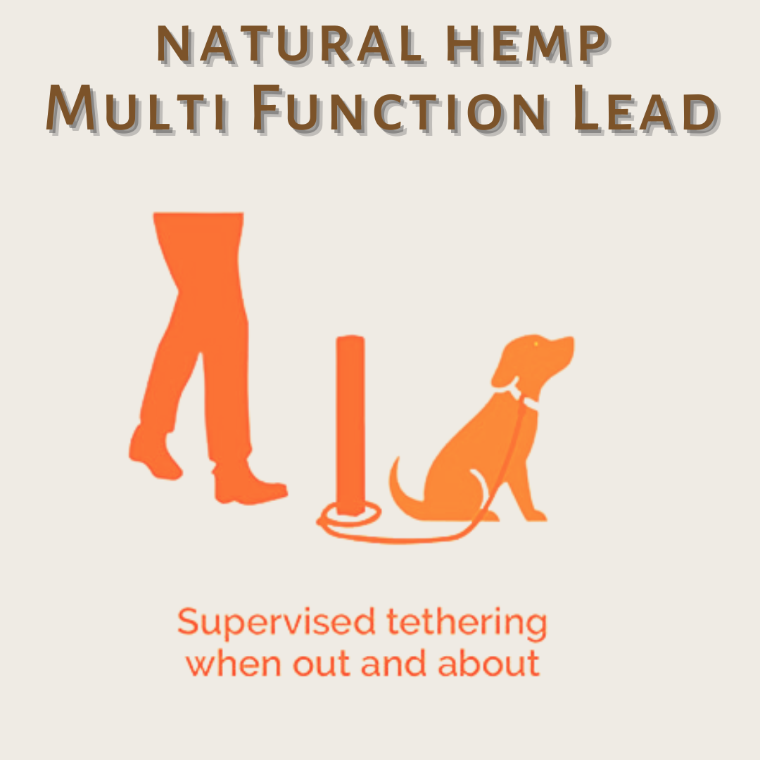 Multifunction dog leash in Natural Hemp, supervised tethering when out and about