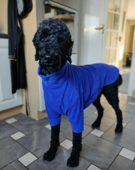 Royal Blue Fleece Dog Jumper 100% Rainproof, Breathable, Warm and Washable