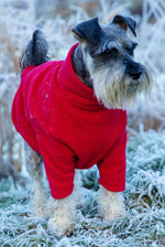 Load image into Gallery viewer, One very happy Schnauzer with a red fleece jumper for dogs
