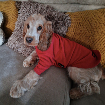HOTTERdog red fleece jumper