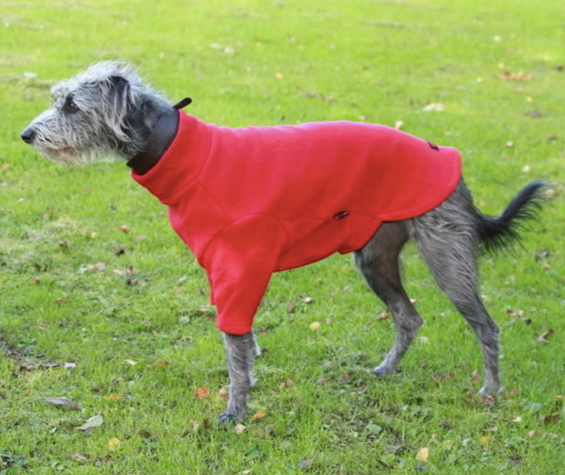 Red dog jumper by HOTTERdog