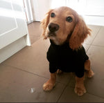 Load image into Gallery viewer, Black Fleece Dog Jumper 100% Rainproof, Warm, Washable and Breathable
