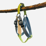 Load image into Gallery viewer, Cotton Dog Harness Blue &amp; Green, soft &amp; adjustable - Medium Only
