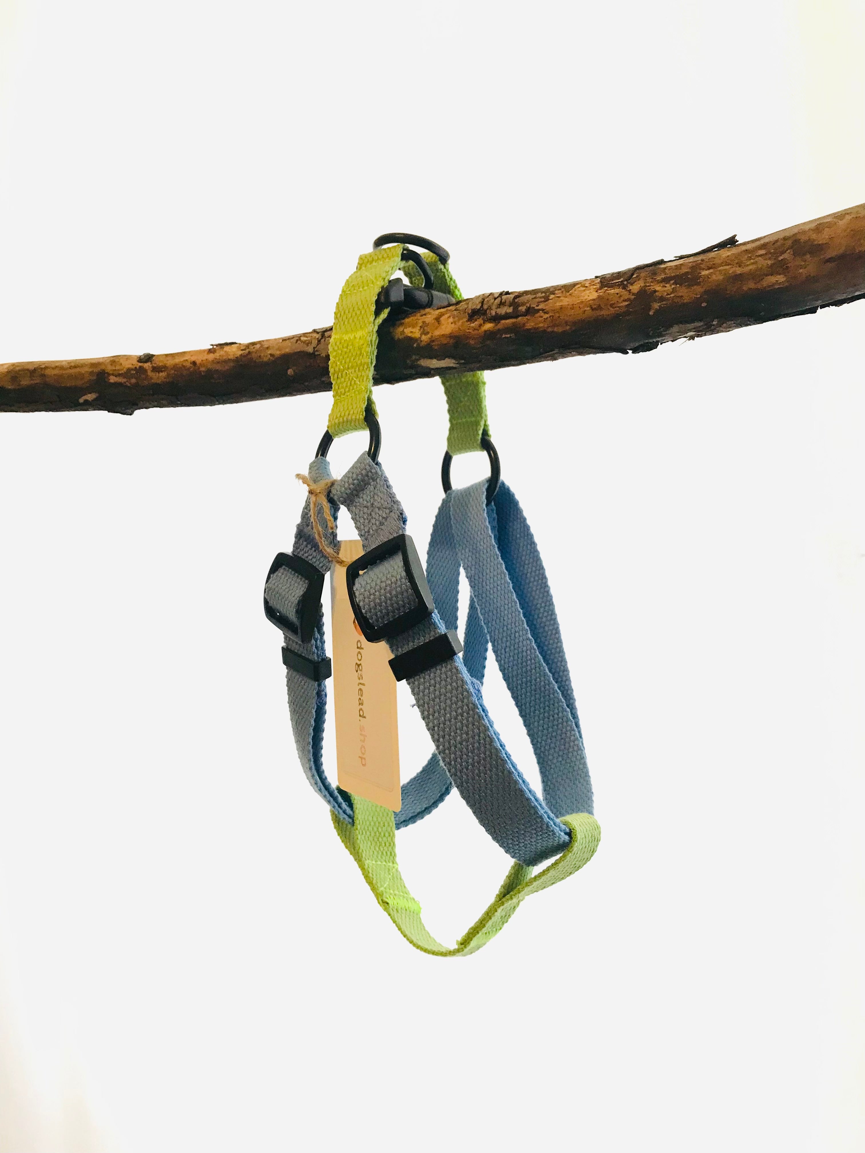 Green and Blue cotton dog harness 