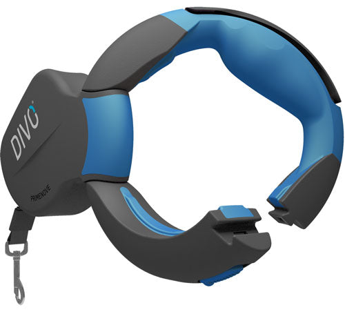 DIVO openable dog leash, blue